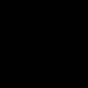 Meet your Posher, King